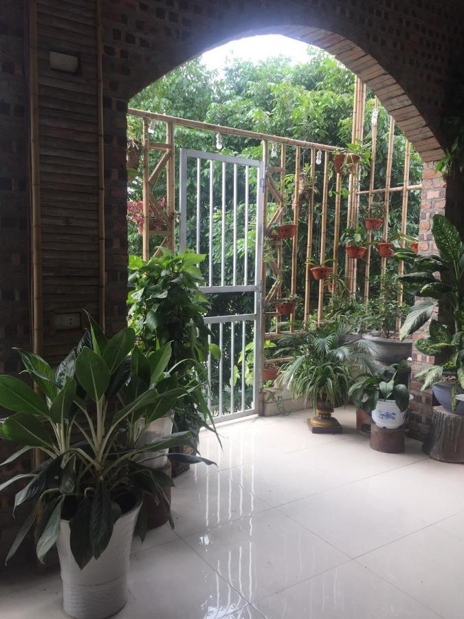 Tam Coc Scenery Homestay Van Lam Buitenkant foto