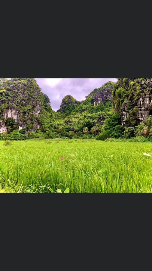 Tam Coc Scenery Homestay Van Lam Buitenkant foto